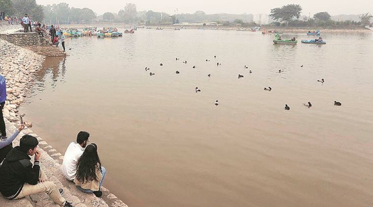 Sukhna Lake: UT fishery department team collects samples of water, bird droppings