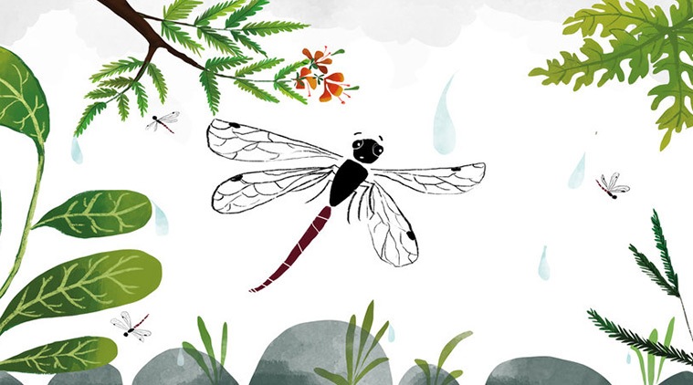 short story, dragonfly