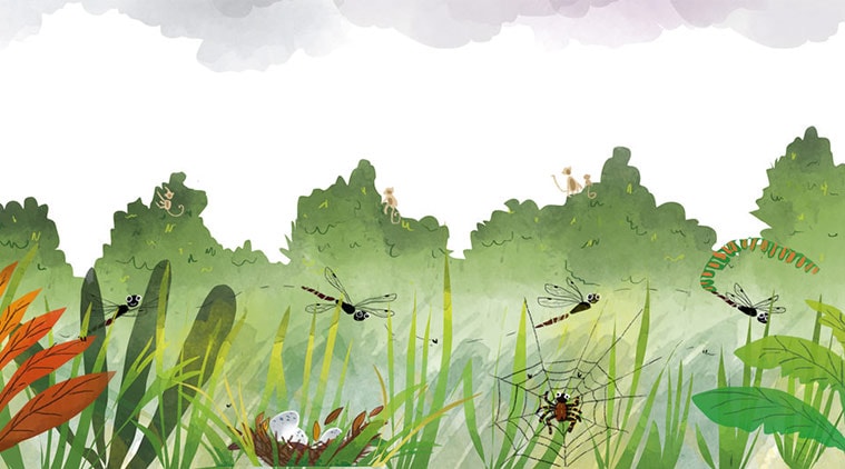 dragonfly