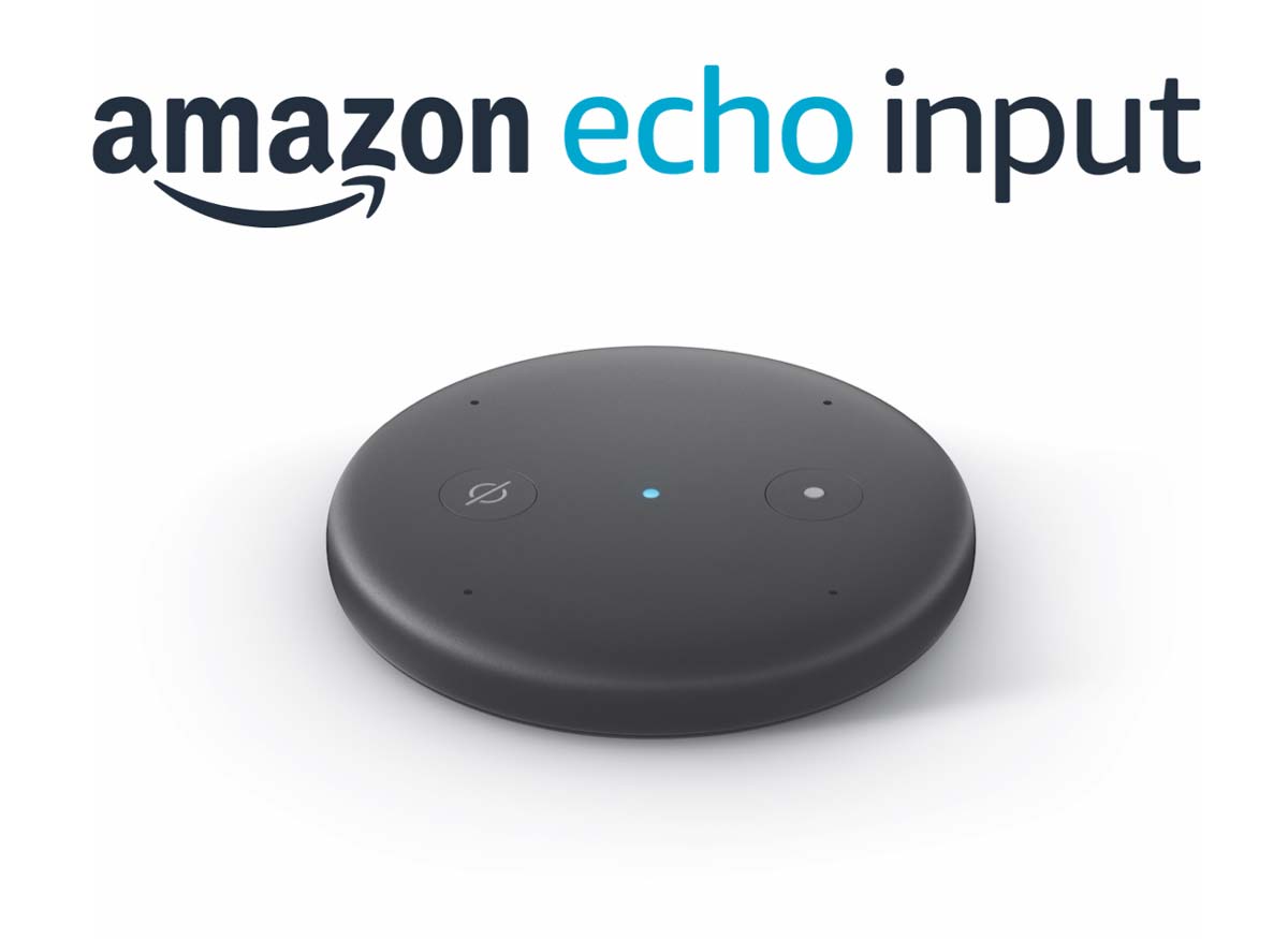 amazon echo input