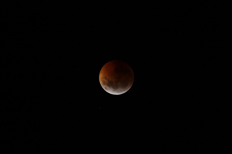 Super Blood Wolf Moon Lunar Eclipse January 2019 LIVE ...