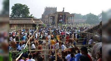 Colossal Brihadeshwara Temple, India, Raja Chola I, Unesco World Heritage, Thanjavur, Tamil Nadu, Bala, Pongal celebrations, Pongal festival, Makar Sankranti, January, bhogi, Goddess Parvati, Lord Shiva, Lord Ganesha, Lord Krishna, Sakara pongal, indian express, indian express news