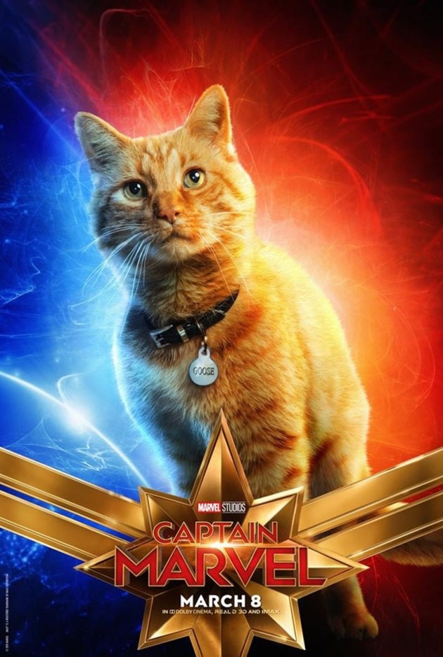 captain marvel cat goose