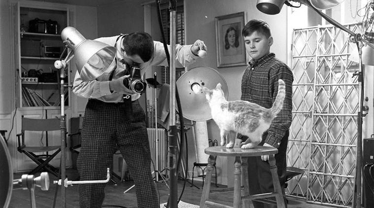 Walter Chandoha, photographer who took 90,000 cat pictures, dies