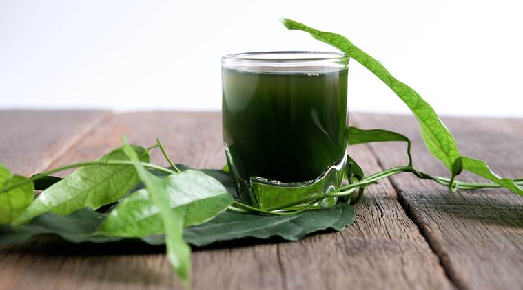 From weight loss to healthy skin: Liquid chlorophyll is the latest health  buzz | Lifestyle News,The Indian Express