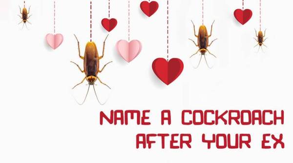 Valentine's Day, name cockroaches after Ex, cockroaches, ex a pest, London zoo offers naming cockroaches, gifts for valentine's day