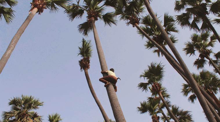 A taluka in God’s Own Country has saved its traditional mild alcoholic brew from near extinction.