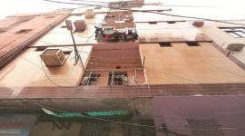 Delhi: Hunt on to nab four more in NGO Love Commandos extortion case