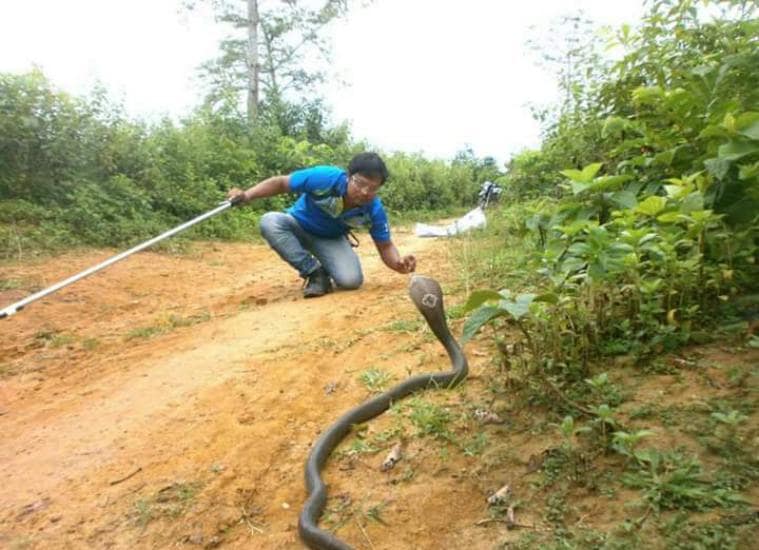 Binod Dulu Borah, wildlife rescue
