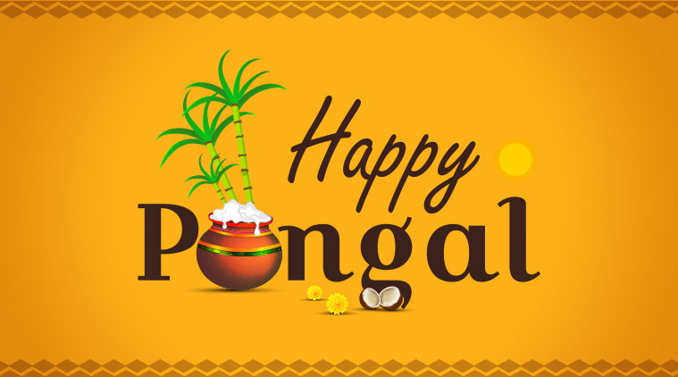 happy pongal, happy pongal 2019, pongal, pongal 2019,