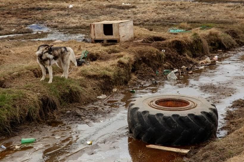 Greenland residents grapple with global warming