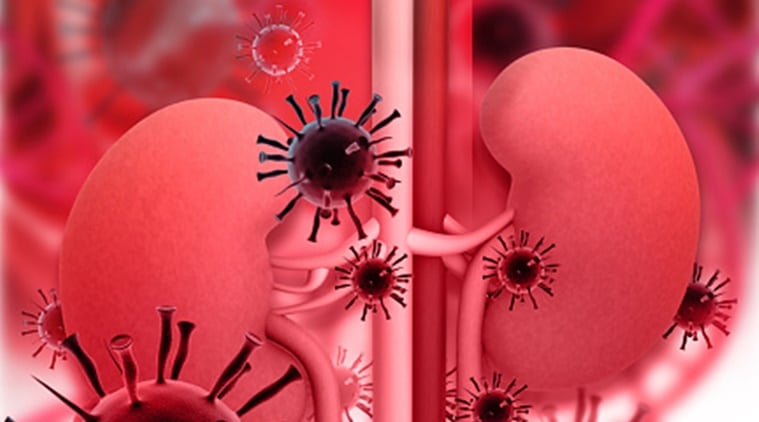 CBSE, CBSE Health Science, Health Science, Central Board of Secondary Education, CBSE syllabus, CBSE Class 12