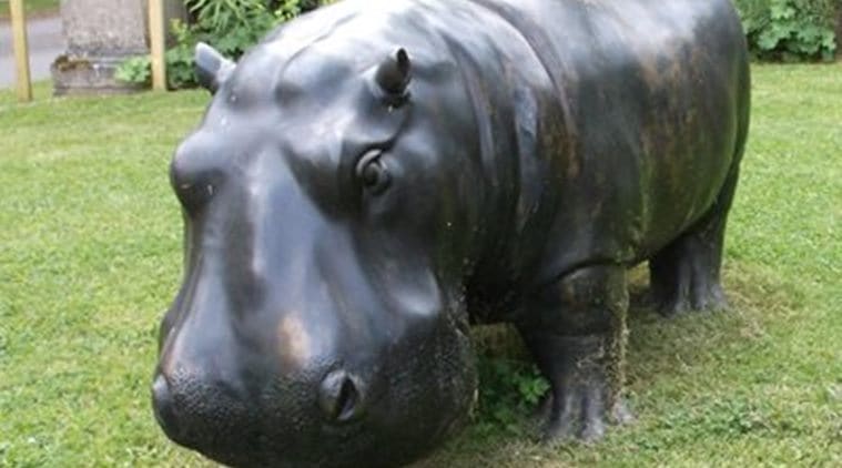 Have you seen this hippo? Giant Hippopotamus statue goes missing in ...