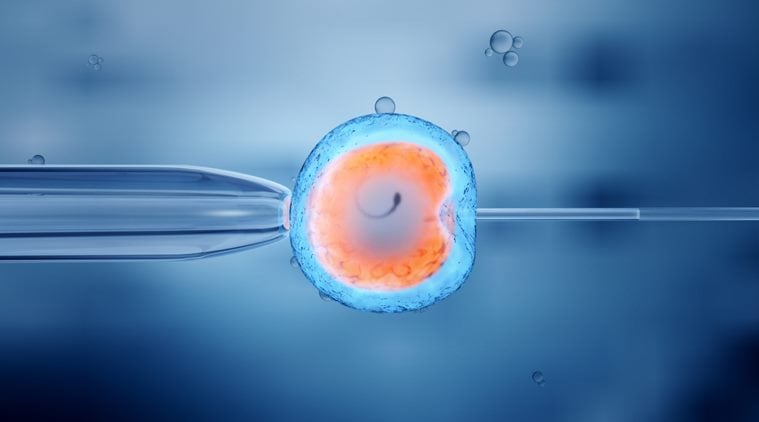 When can a woman freeze her eggs for conception? Here’s all you need to ...