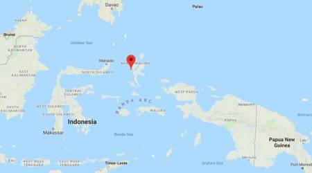 Earthquake of magnitude 6.6 strikes Indonesia: report