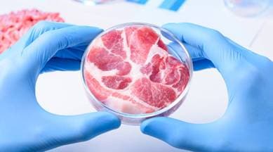 Union Department of Biotechnology, Centre for Cellular and Molecular Biology, CCMB, National Research Centre on Meat, research on meat, meat research, india news