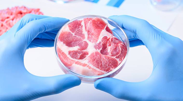 Lab-grown meat: Is eating meat without killing animals the future? |  Lifestyle News,The Indian Express