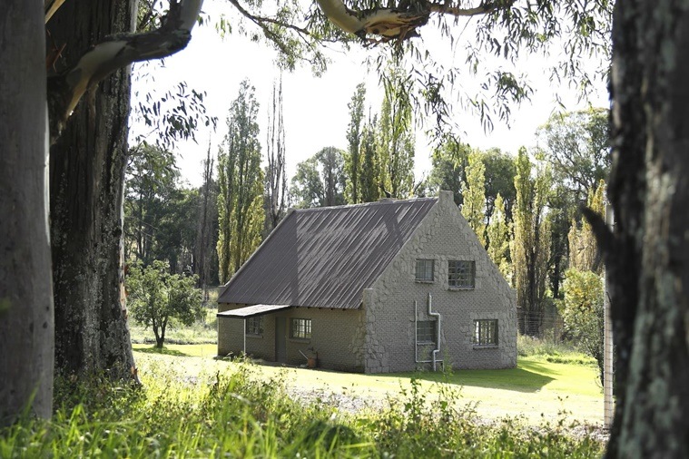 Lion House, Lion House GG Conservation, GG Conservation Wildlife reserve and Lion Sanctuary, GG Lions NPC, Airbnb, Lion House Airbnb, indian express, indian express news
