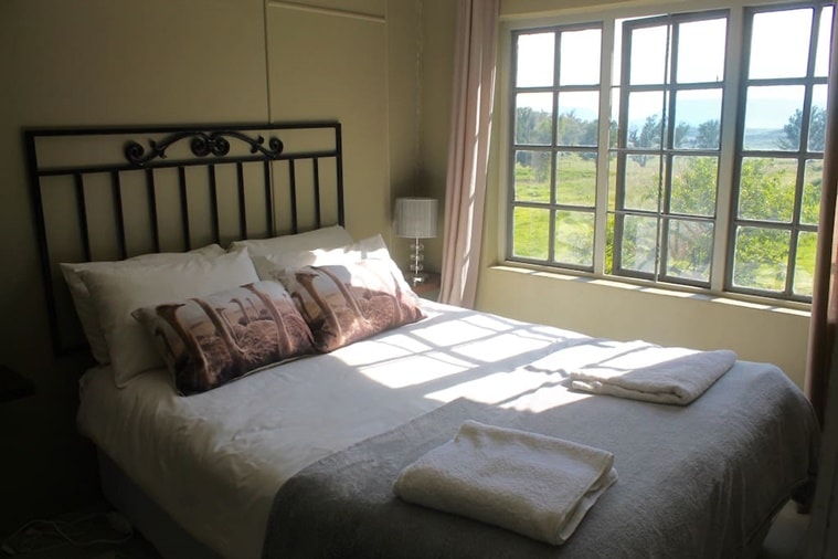 Lion House, Lion House GG Conservation, GG Conservation Wildlife reserve and Lion Sanctuary, GG Lions NPC, Airbnb, Lion House Airbnb, indian express, indian express news