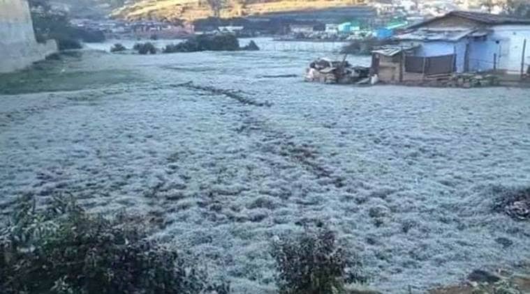 kerala, snow in kerala, munnar, snow in munnar, munnar hill station, low temperatures munnar, indian express news