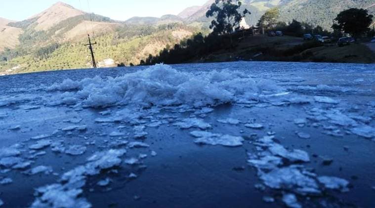Munnar shivers at -4 degree celsius, frost hits tea plantations