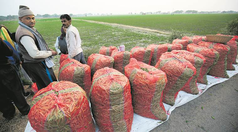 farmers crisis, minimum support price, agriculture crisis, Narendra Modi government, procurement of pulses, MSP, Indian express