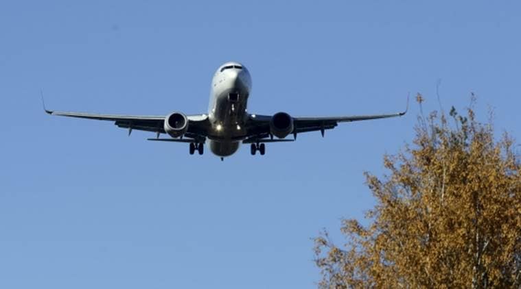 The plane was carrying a cargo of meat from Bishkek, Kyrgyzstan to Iran. (Representational)