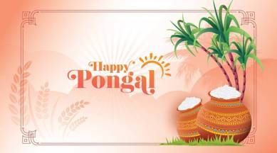 pongal 2019, pongal 2019 date, pongal 2019 date in tamilnadu, pongal 2019 in karnataka, pongal 2019 tamil calendar, pongal 2019 date in india, tamil pongal 2019, tamil pongal 2019 date, tamil pongal 2019 date in india, tamil pongal 2019 tamil calendar, indian express, indian express