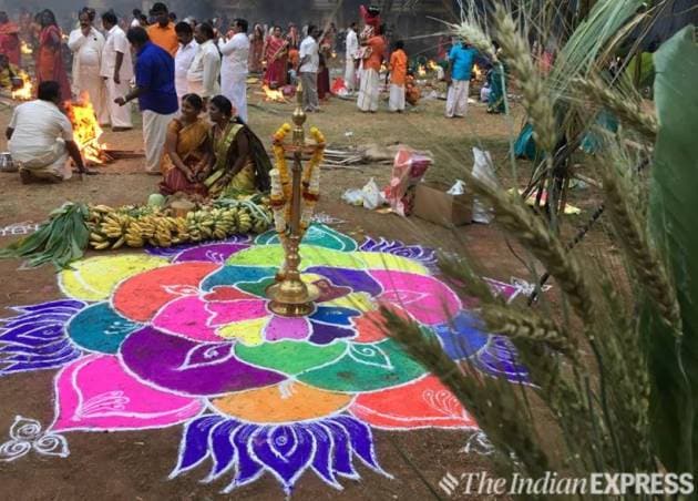 Tamilians celebrate the occasion by making traditional designs known as kolams in their homes with rice powder. The kolams are drawn to welcome goddess Lakshmi, who is believed to bring wealth, prosperity, and happiness into the household.