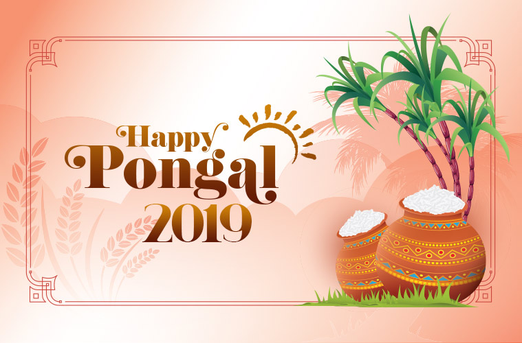 happy pongal, happy pongal 2019, pongal, pongal 2019,
