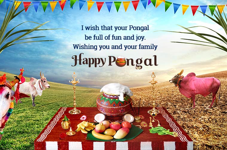 Happy Pongal 2022 Wishes Images, Status, Quotes, Messages, Photos, and