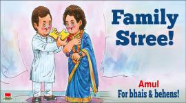 priyanka gandhi, rahul gandhi, priyanka gandhi east up, congress rae bareli, up rae bareli seat, priyanka gandhi congress politics, priyanka gcongress up, gandhi family, priyanka gandhi vadra, lok sabha polls, lok sabha elections UP, india news, indian express