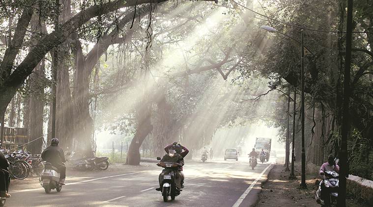 Another cold week ahead for state: IMD