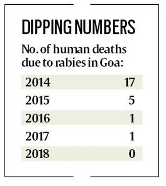 Zero deaths in 2018, Goa targets rabies-free 2020