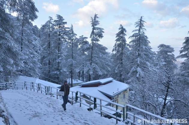 Tourists rejoice as Shimla, Manali witness another spell of snow