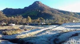 kerala, snow in kerala, munnar, snow in munnar, munnar hill station, low temperatures munnar, indian express news