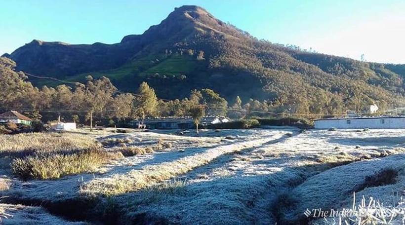 Mercury dips in Kerala; Munnar covered with frost