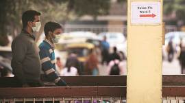 Three die of swine flu in two days, 97 positive cases reported in UP