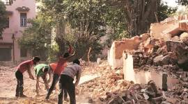 illegal tree felling, illegal felling of khair trees, illegal felling of khair trees in Panchkula, Chandigarh forest department, Panchkula police, smuggling of khair trees, khair tress smuggling, Indian Express news.