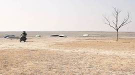 wetland Near Ahmedabad, Livelihoods Dry Up With A Dried Wetland