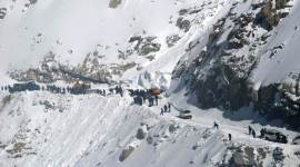 Two bodies recovered from avalanche-hit Khardungla Pass, toll reaches 7
