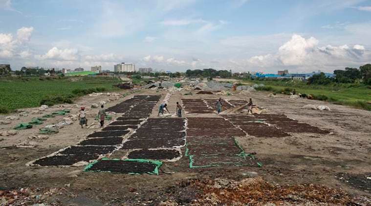 Ailing UP tanneries shut for Kumbh, start shifting to Bengal