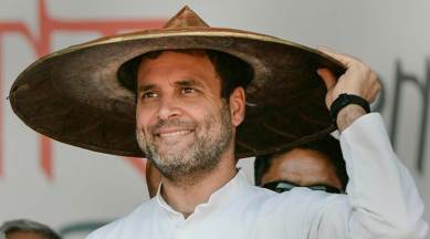 Expecting 20 plus seats: Rahul Gandhi sets target for party's Northeast leaders