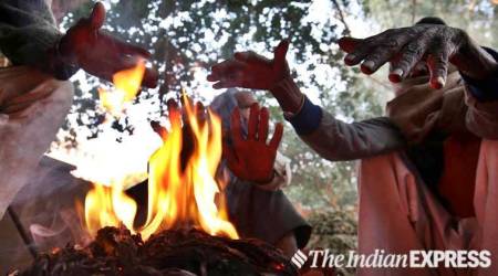 nashik, temperature in nashik, minimum temperature, maharashtra, bonfire, cold conditions, grape crop, grape growers, indian express news