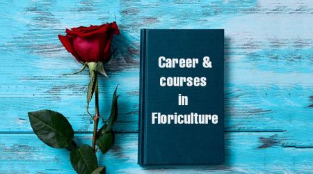 rose day, happy rose day, rose day quotes, careers in flower decoration, offbeat courses, floriculture, flower decoration courses, horticulture courses, agriculture courses, rose courses, cut flower courses, cut flower market, career in flowers, offbeat flowers, offbeat careers, top courses, sarkari result