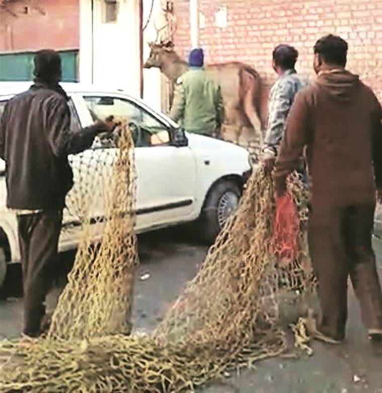 Chandigarh: Sambhar pays a surprise visit to Sector 22