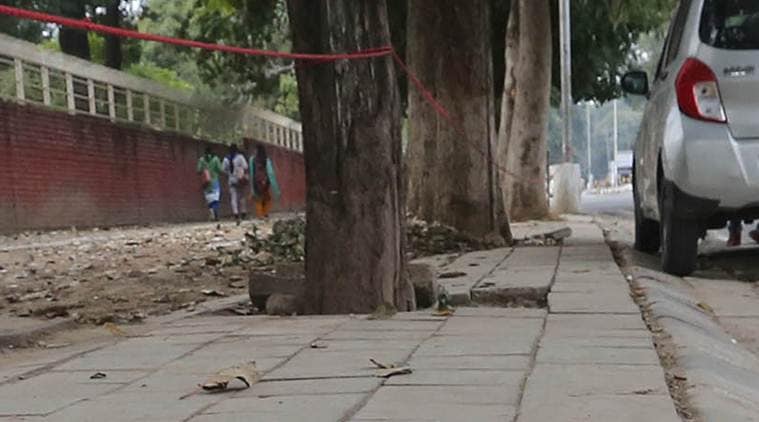 Paver blocks a threat to green character of Chandigarh, say experts