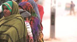 Delhi sees coldest January mornings since 2013: IMD data