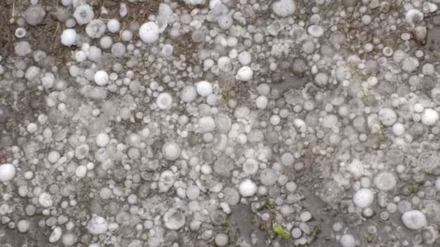 noida hailstorm images, hailstorm in noida pics, hailstorm in noida photos, hailstorm in noida images, noida rain, delhi hailstorm, delhi weather, noida weather, IMD,