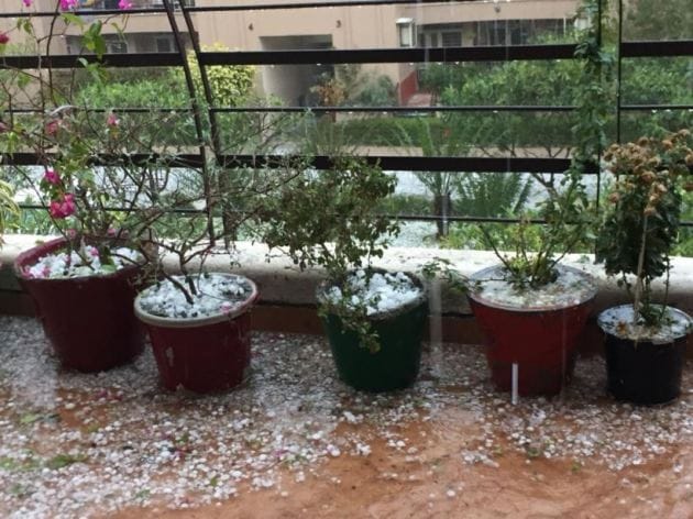 noida hailstorm images, hailstorm in noida pics, hailstorm in noida photos, hailstorm in noida images, noida rain, delhi hailstorm, delhi weather, noida weather, IMD,